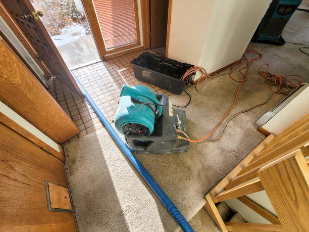 Best 24-hour water damage restoration  in Owensville, IN