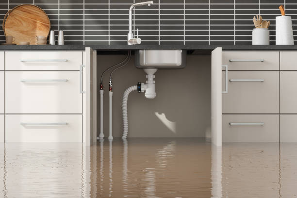 Best Water damage mitigation services  in Owensville, IN